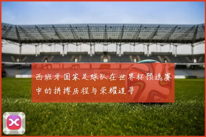 西班牙国家足球队在世界杯预选赛中的拼搏历程与荣耀追寻